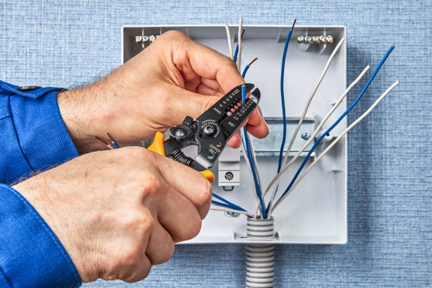 Best Electrical Panel Upgrades  in Highland City, FL